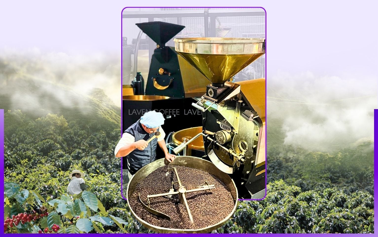 Gia công cà phê tạo thương hiệu riêng cho khách hàng