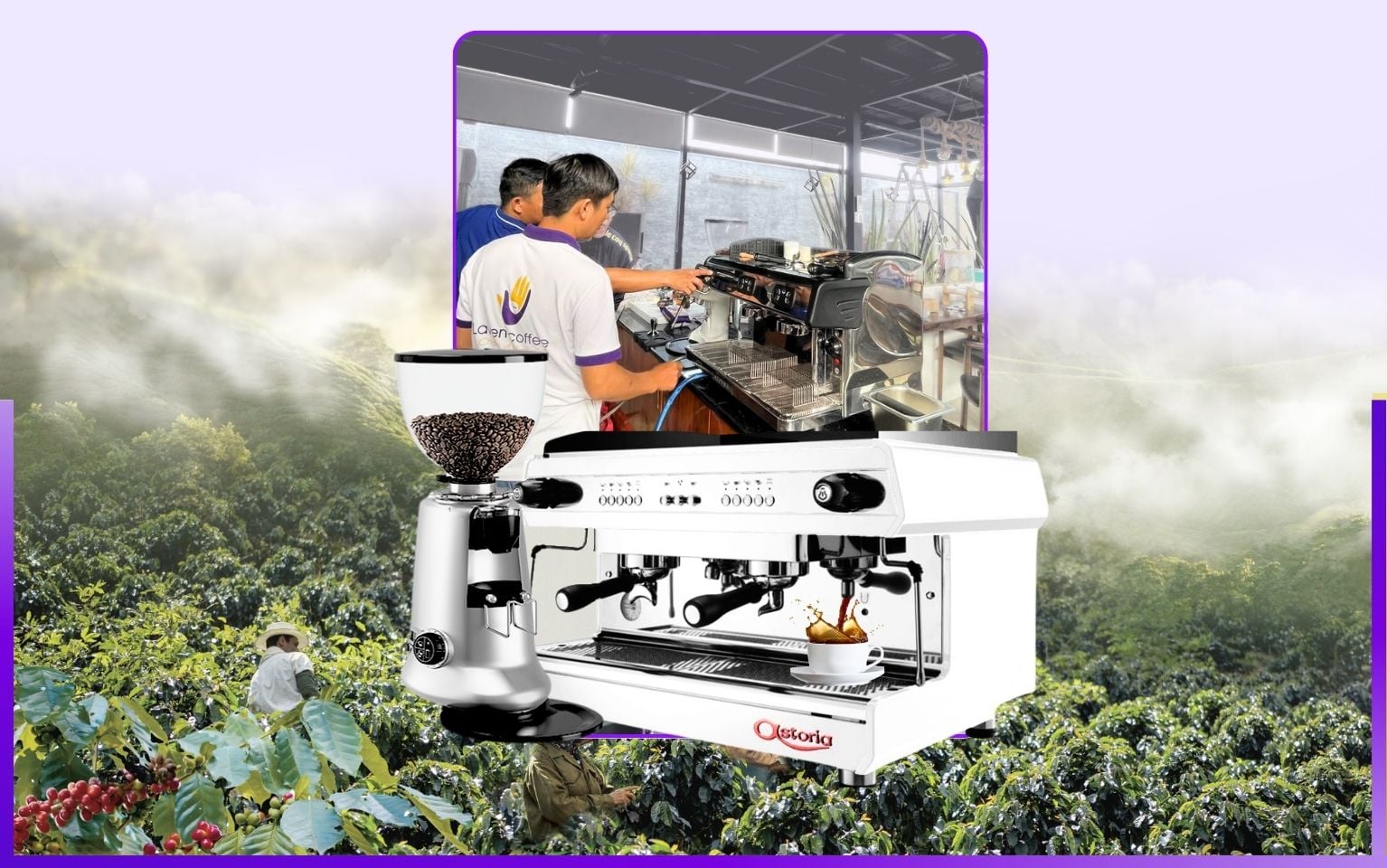 Thương hiệu cà phê Laven Coffee